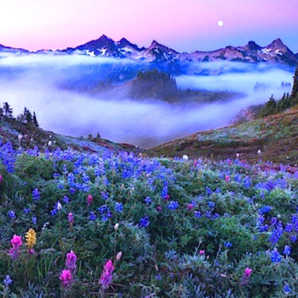 Meet your Posher, Melody